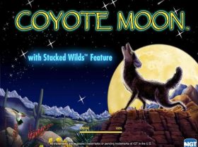 Coyote Moon