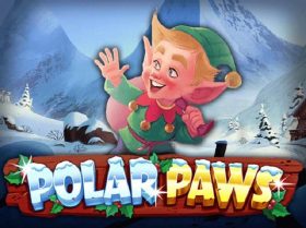 Polar paws