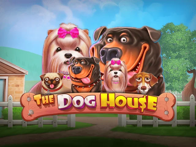 The Dog House