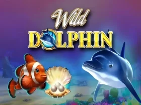 Wild Dolphin