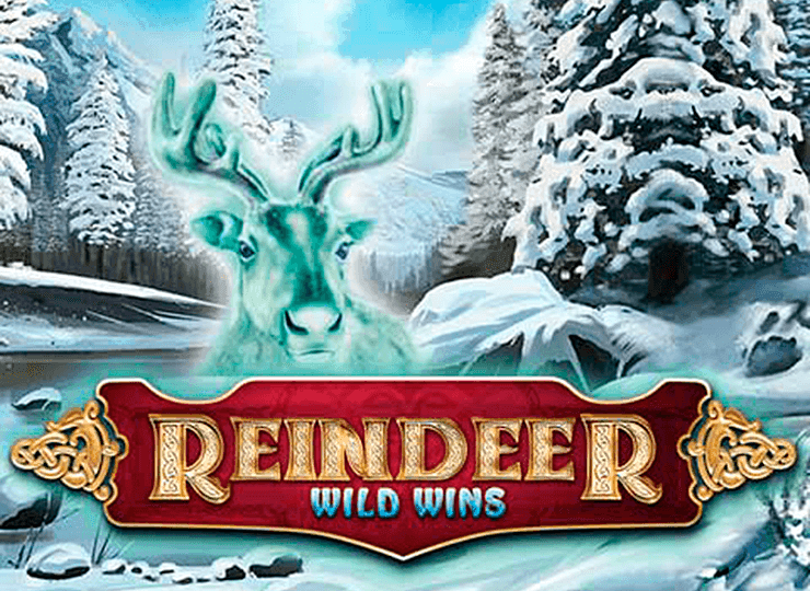 Reindeer Wild Wins