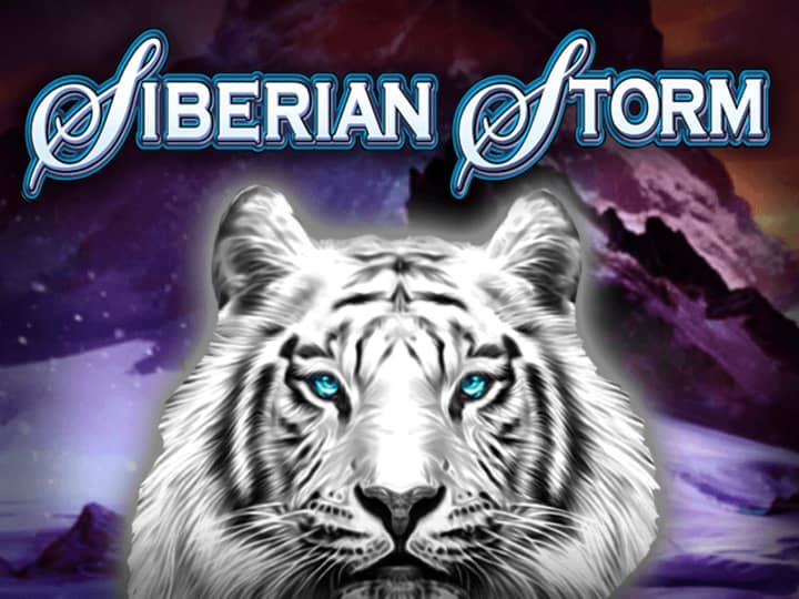 Siberian Storm Dual Play