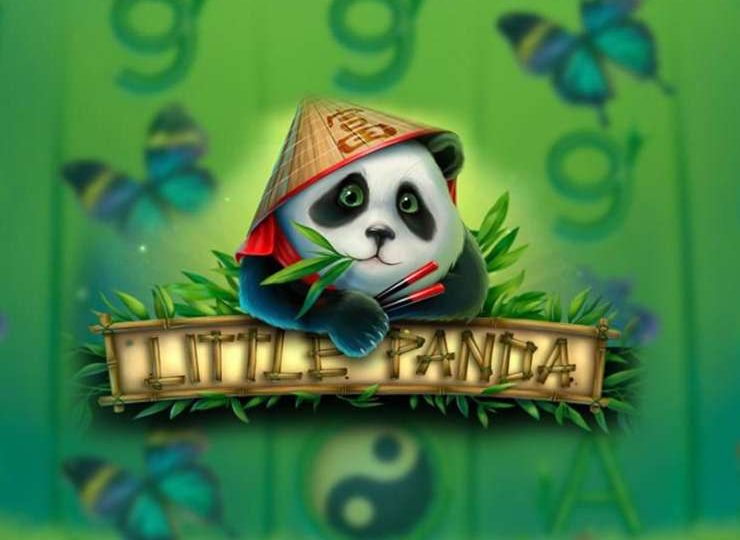 Little Panda