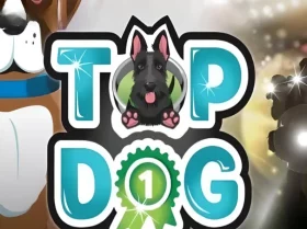 Top Dog